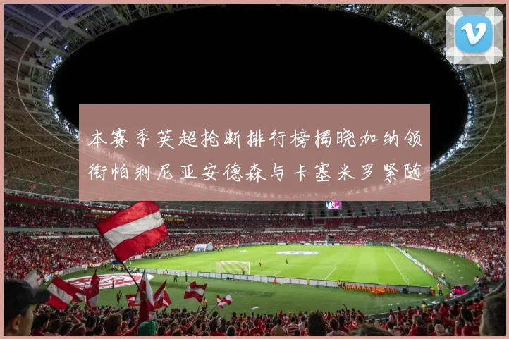 本赛季英超抢断排行榜揭晓加纳领衔帕利尼亚安德森与卡塞米罗紧随其后