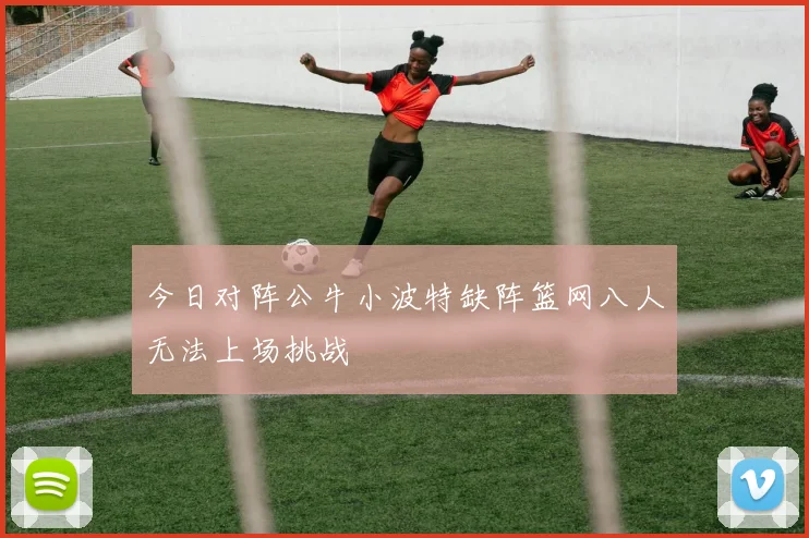 今日对阵公牛小波特缺阵篮网八人无法上场挑战